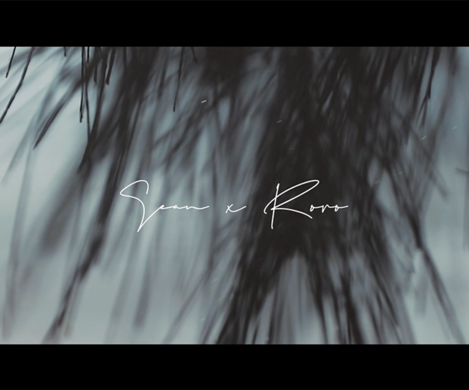 :: 婚紗側錄 :: Sean + Roro :: Pre-Wedding