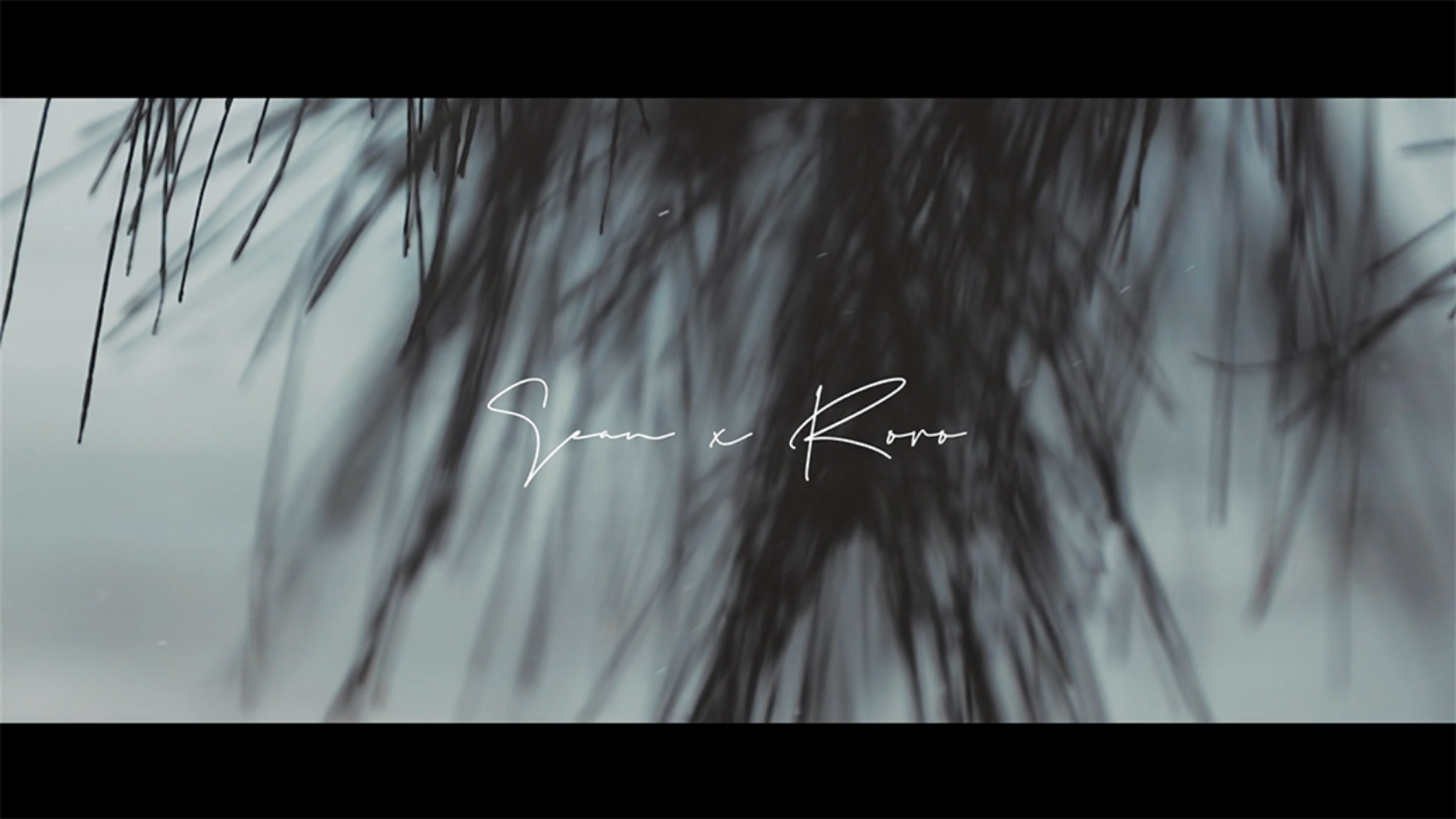 :: 婚紗側錄 :: Sean + Roro :: Pre-Wedding